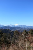 Fototapeta Sawanna - 高尾山からの富士山