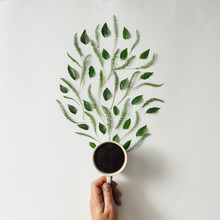 Coffee Cup With Leaves