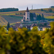 © FreeProd - Fortified and medieval church in vineyard in autumn