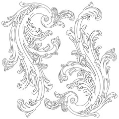 Wall Mural - Vintage baroque scroll ornament, graphic leaves. Vector.