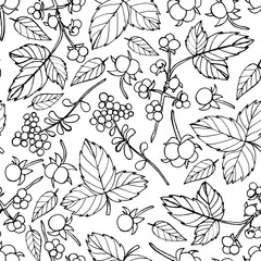 Wall Mural - Vector seamless floral pattern with leaf and berries 