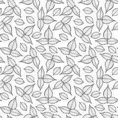 Wall Mural - Vector floral pattern with raspberry leaves