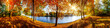 Landschaft im Herbst, sonniges Panorama am Waldrand mit Blick auf einem Fluss