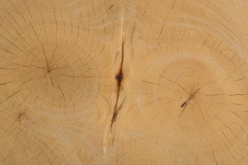 wood texture