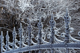 Fototapeta Młodzieżowe - Frozen metal fence covered by hoarfrost in a winter.