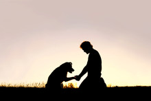 Silhouette Of Man Shaking Hands With His Loyal Pet Dog