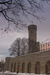 Wall Mural - Toompea Castle And The Pikk Hermann Tower