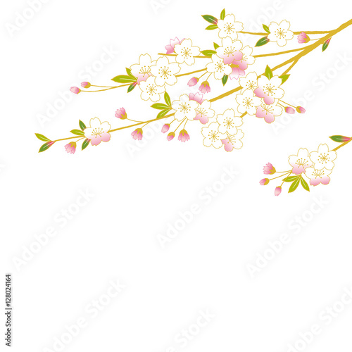 桜の枝 イラスト Stock ベクター Adobe Stock 桜の枝 イラスト Stock ベクター Adobe Stock
