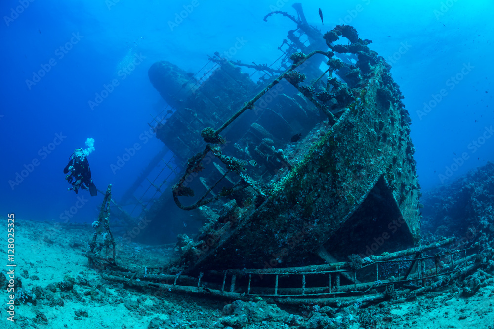 Diver exploring Red Sea wreck - obrazy, fototapety, plakaty 