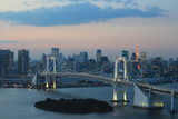 Fototapeta  - 東京タワーとレインボーブリッジの日本の夜景　night view of Tokyo and rainbow bridge in Japan
