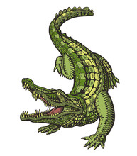 Crocodile Or Alligator. Animal In Ethnic Style. Vector Illustration