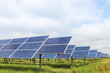 solar panels  photovoltaics in solar farm 