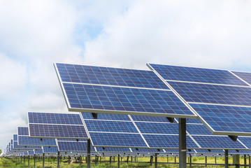 Wall Mural - photovoltaics solar panels in solar farm energy from the sun