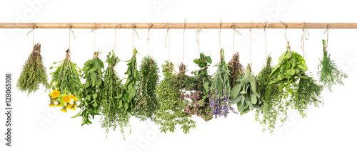 Naklejka na kafelki Fresh herbs hanging Basil rosemary thyme mint dill sage