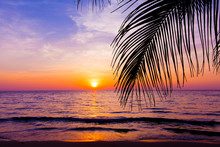 Sunset Landscape. Beach Sunset.  Palm Trees Silhouette On Sunset