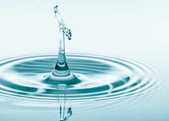 Wall Mural - water drop falling and drips on water mirror. water drop splash and make perfect circles on water su