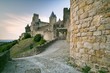 © PATMALUPHOTO - The mediavel ancient city of Carcassonne at sunset, France