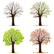 Four seasons trees vector