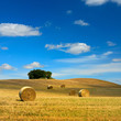 Bales of Straw in Stubble Field during Harvest, Summer Landscape of Rolling Hills under Blue Sky
