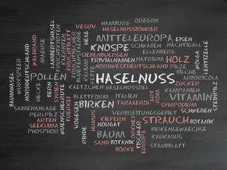 Poster - Haselnuss