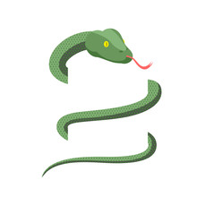 Snake Wraps Isolated. Cobra On White Background. Green Reptile
