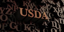 Usda - Wooden 3D Rendered Letters/message.  Can Be Used For An Online Banner Ad Or A Print Postcard.