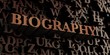 Biography - Wooden 3D rendered letters/message.  Can be used for an online banner ad or a print postcard.