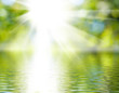 © cooperr - water on green blurred background close-up