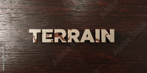 Fotografie, Obraz Terrain - grungy wooden headline on Maple - 3D rendered royalty free stock image