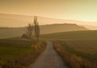 © RooM The Agency - Distant view of Two people walking along Camino de santiago (St James's Way) at sunset, Galicia, Spain