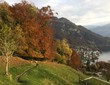 Herbstlandschaft in den schweizer Alpen / Blick auf Vitznau am Vierwaldstättersee