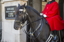 Mounted Queen's Life Guard Of The Household Cavalry Sits On His Horse In An Archway Facing Whitehall In London, England