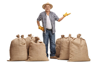 Poster - Happy mature farmer standing between burlap sacks and gesturing