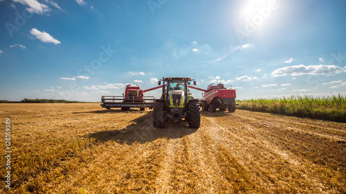 Fotografía Harvesting the wheat