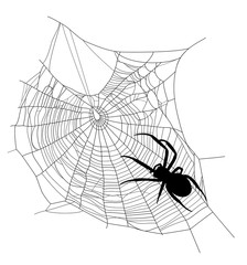 Wall Mural - spider web black and white vector silhouette design