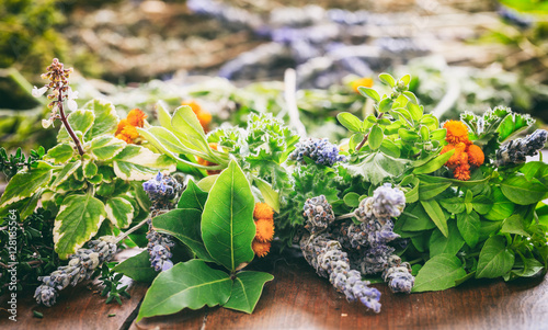 Fotografía Variety of herbs on wooden background