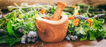 Variety Of Herbs And Mortar On Wooden Background, Banner