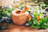 Variety of herbs and mortar on wooden background