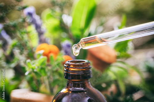 Fotografie, Obraz Variety of herbs and dropper with essential oil
