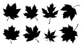 Fototapeta  - maple leaf silhouettes