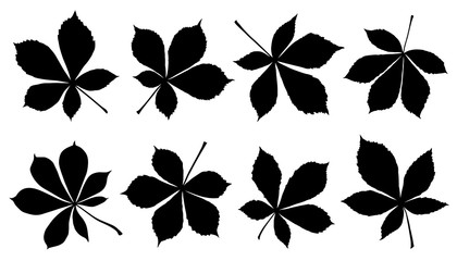 Wall Mural - horse chestnut silhouettes