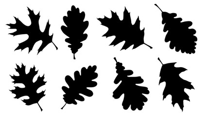 Wall Mural - oak leaf silhouettes