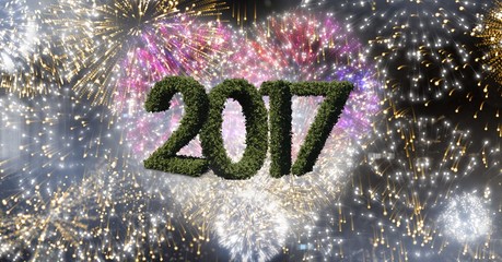 Poster - 2017 made of green grass against composite image of heart shaped