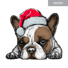 French Bulldog, Black And White Engrave. Christmas Hat. Vector