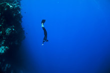 Freediver Moves Underwater Along Coral Reef
