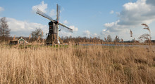 Little House With Windmill In Reed