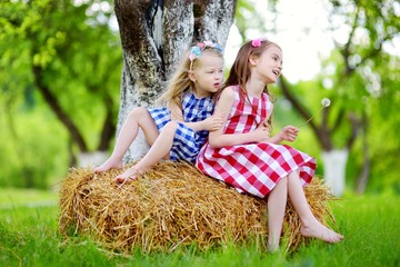 Wall Mural - Two little sisters sitting on a haystack in apple tree garden