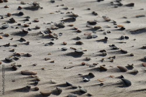 Fotografia, Obraz Wind-swept rocks with small dunes accumulating behind them