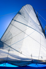 Wall Mural - yacht sail mast