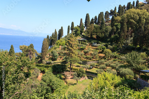 Liguria coast with terraces and Mediterranean Sea near Portofino, Italy Poster